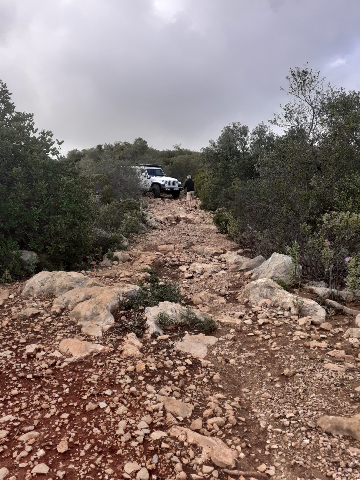 Offroad Faro